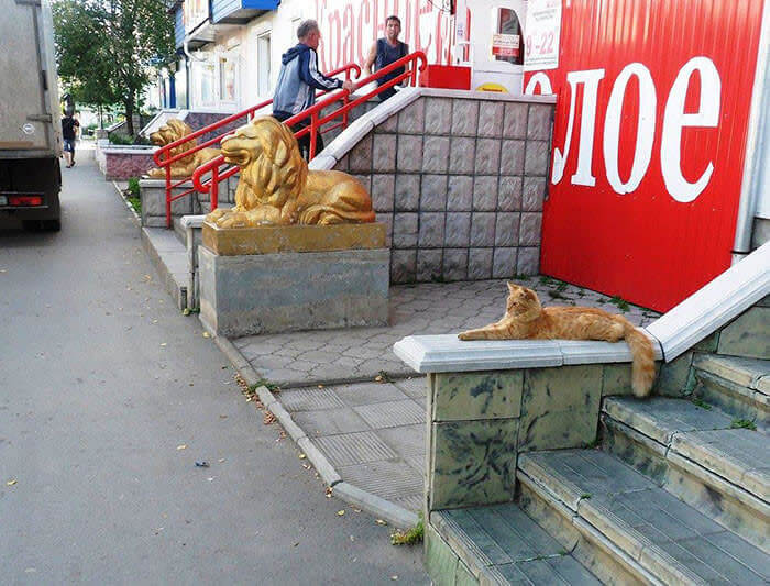 The Imitation Game Specialist