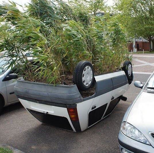 A Mechanical Garden