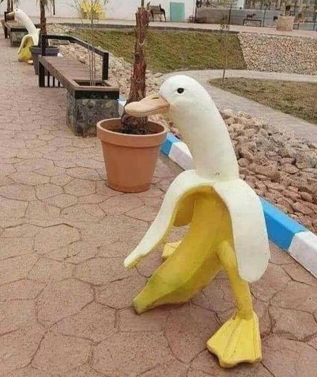 The First Ever Banana Ducks