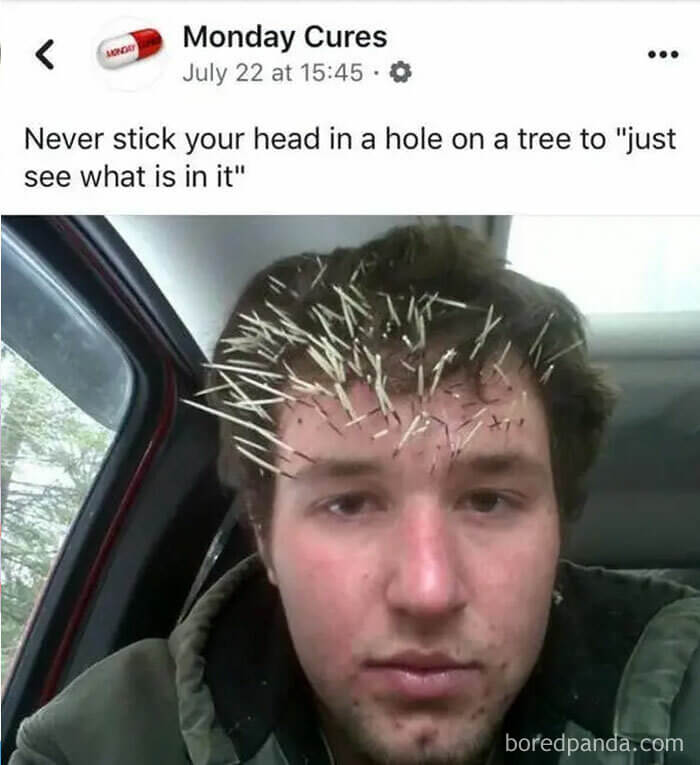 What Have We Just Witnessed?