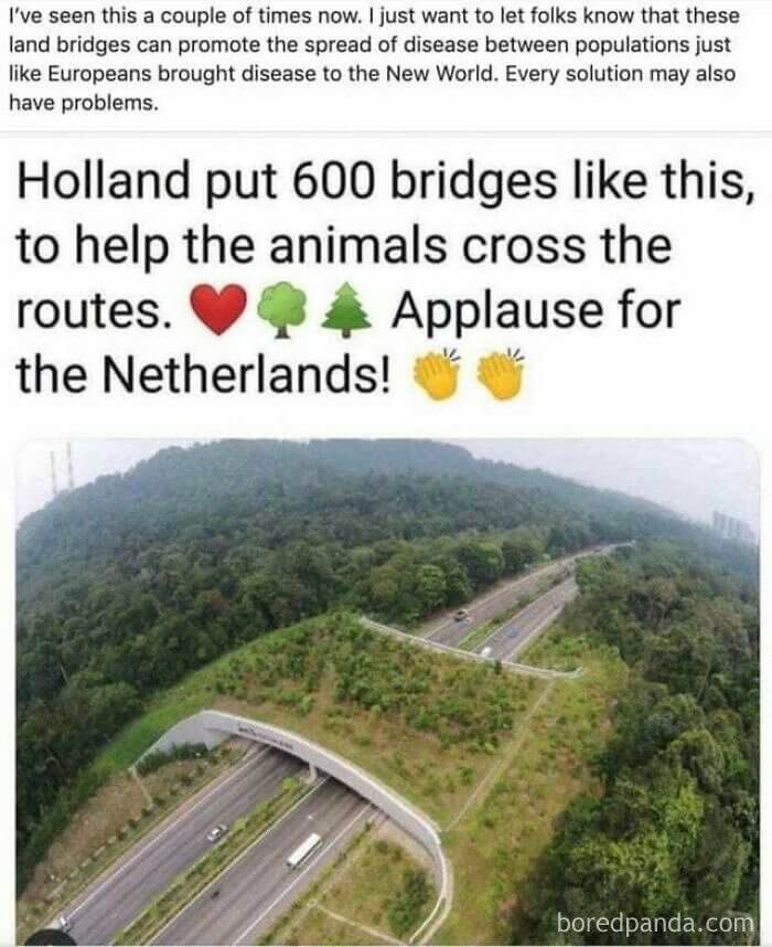 A Bridge Too Far?