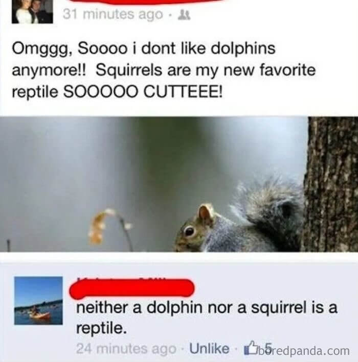 This Is Nuts!