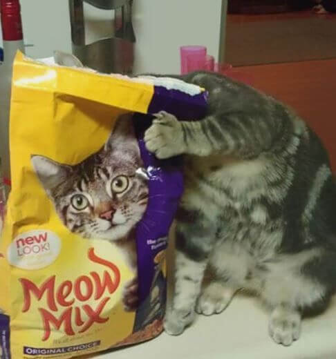 Feed On Schedule To Reduce Anxiety