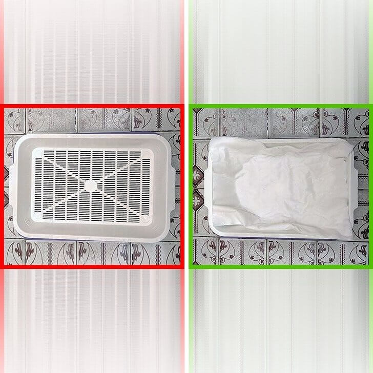 How to Encourage Your Cat To Use Their Litterbox