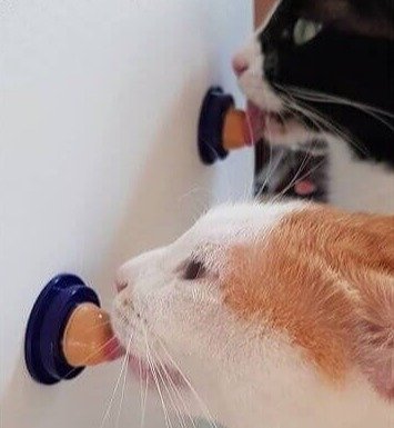 Help Keep Your Cat Calm With Lollipops