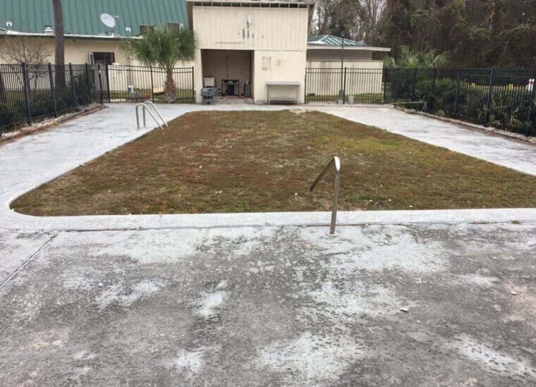 This Seems Like a Financially Wise Decision - After All, If They Can't Even Water the Grass, How Could They Afford a Whole Pool?