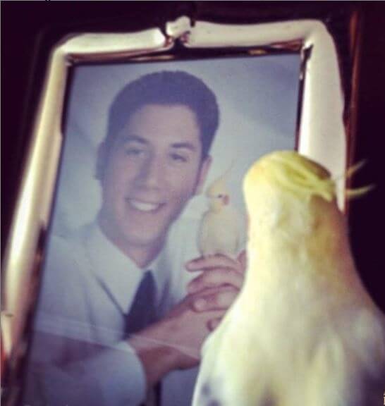 Carril de la Memoria