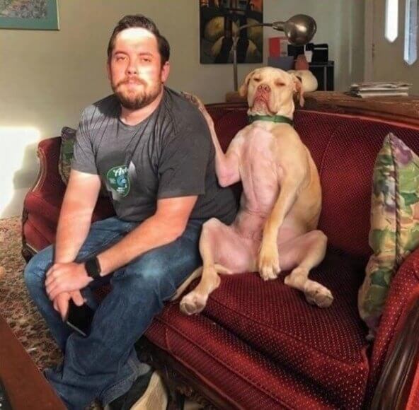 ¿Quién es el jefe?