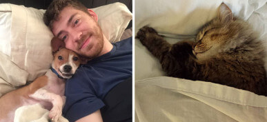 40+ Hilarious Times Pets Stole Their Owners Beds