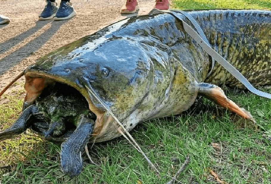 Animal Photos That Show a Different Side of Nature