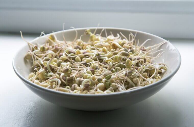 Raw Sprouts