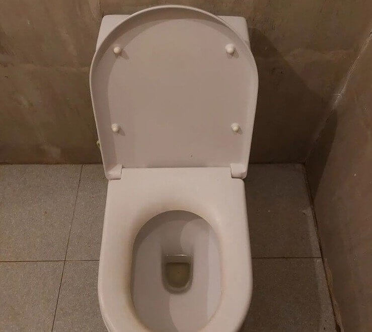 Les germes vivent sur les sièges des toilettes