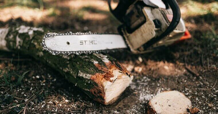 Tree Removal
