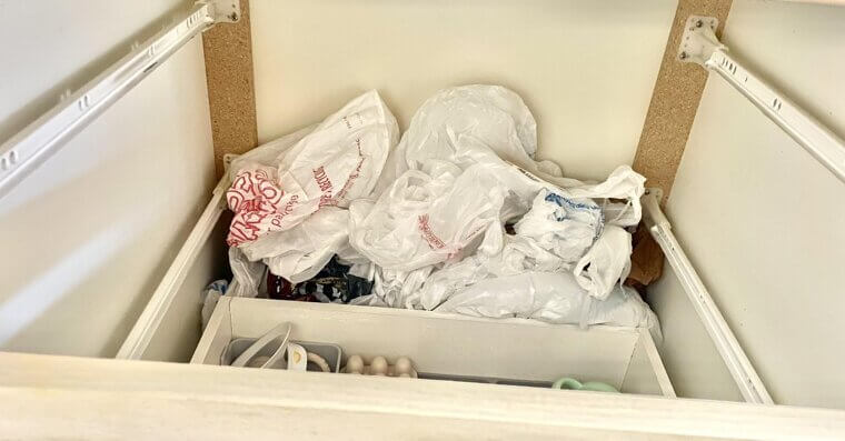 Single-Use Plastic Bags