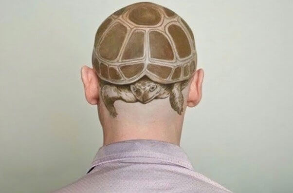 Why Go Bald When You Can Be A Turtle Head
