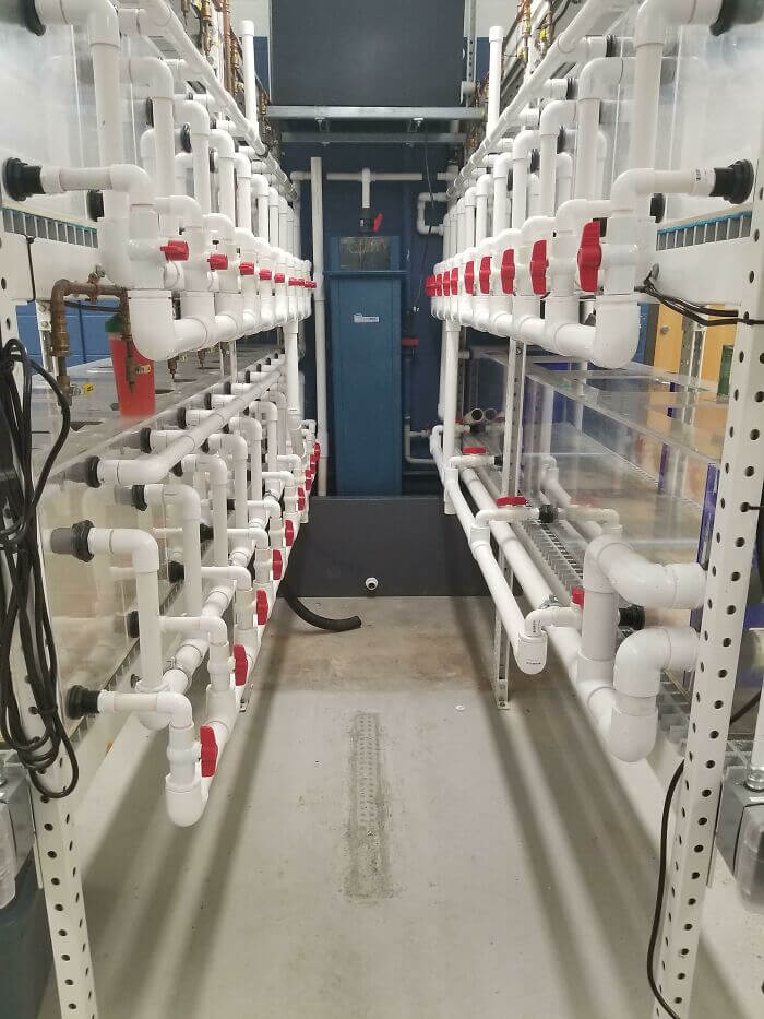 Ever Wonder What an Aquarium's Piping Looks Like?