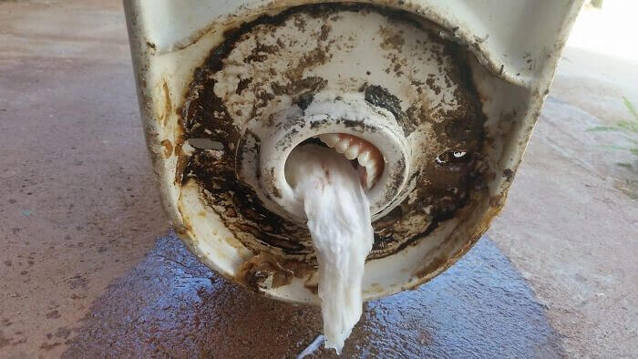 Found Grandpa's Dentures