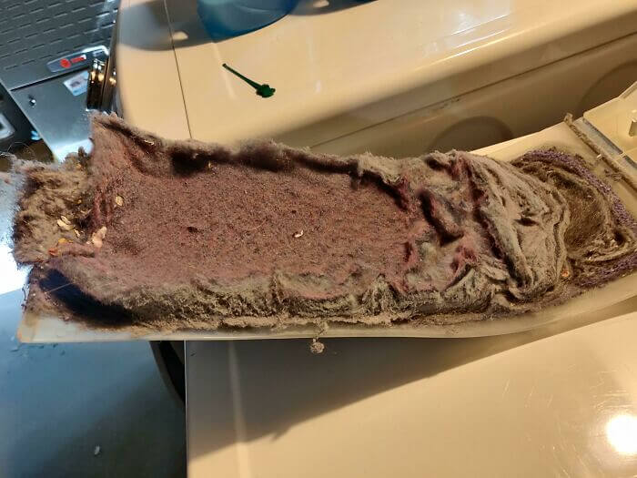 And They Were Wondering Why They're Dryer Wasn't Actually Drying Anything