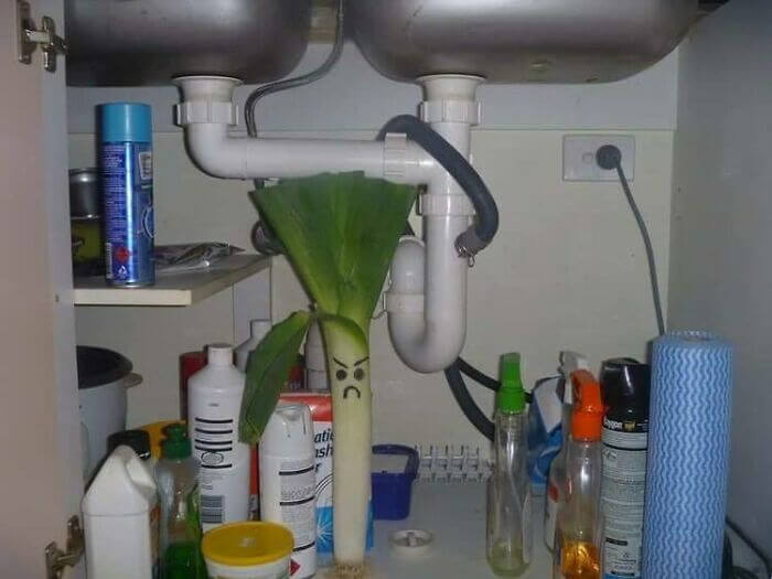Someone Found the Leek - And It's Not Happy