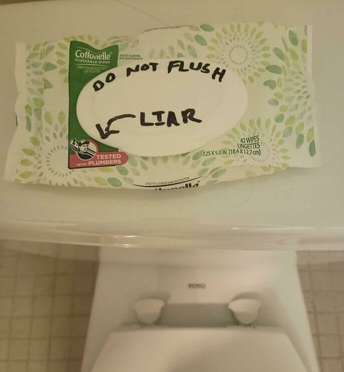 That Plumber Is a Liar