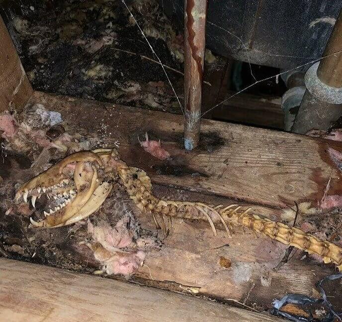 Alright, Time to Move Out