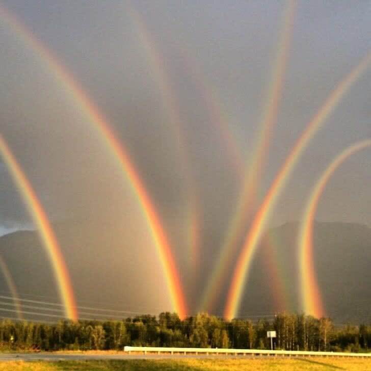 Leprechaun Turf Wars
