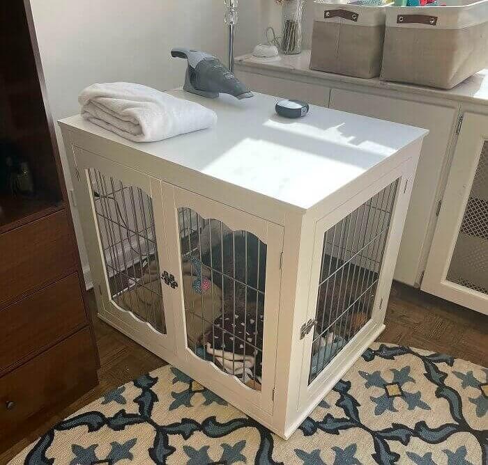 Someone Scored A New, Expensive Dog Crate