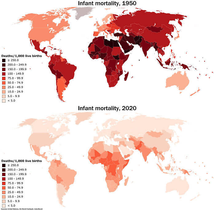 The Huge Decrease In Infant Mortality From 1950 To 2020