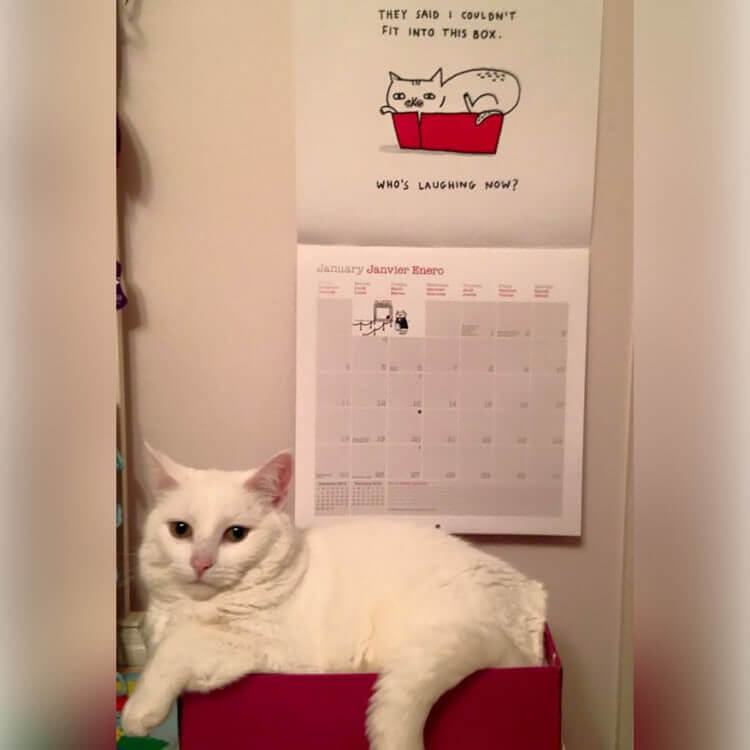 It Was All Written in the Destiny