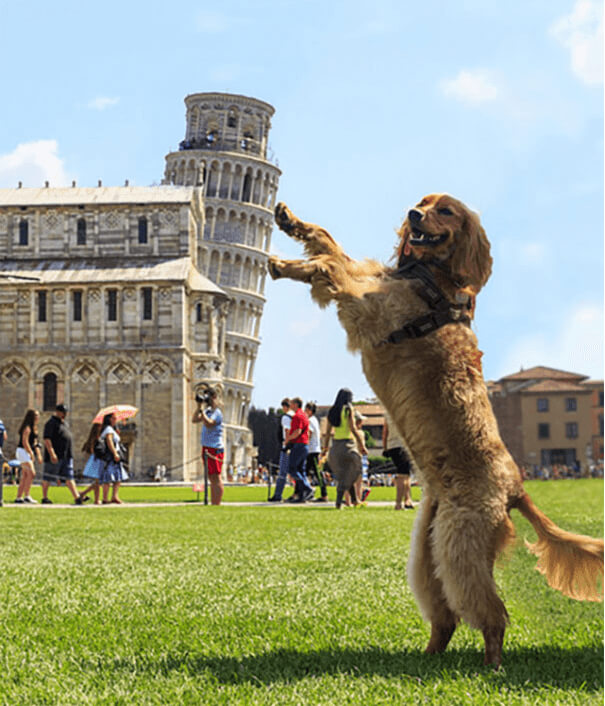 Someone Worthy Holding The Leaning Tower of Pisa