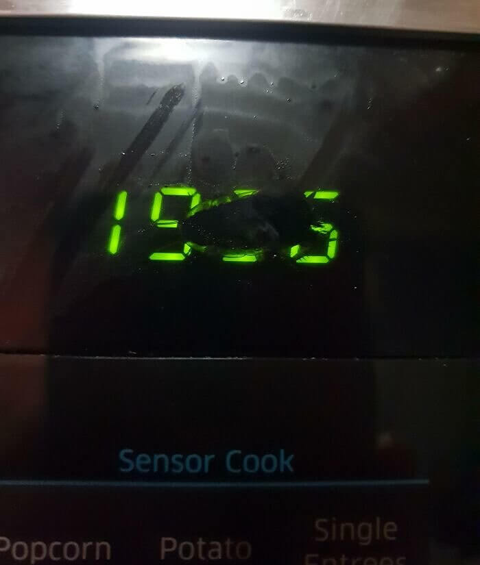 What's the Time, Mr. Cockroach?
