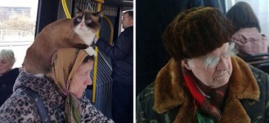 35 Bizarre and Funny Things Spotted On Public Transportation