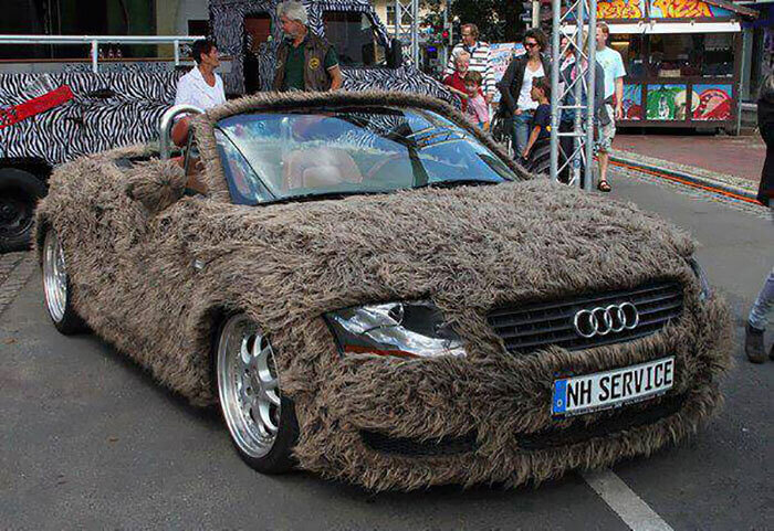 The Hairy Audi