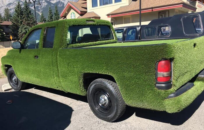 The Grassy Pickup Truck