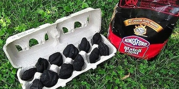 Keep Your Old Egg Cartons