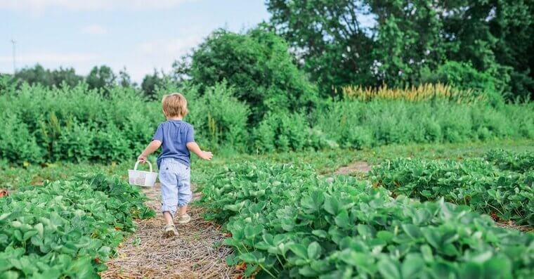 Weeding the Garden