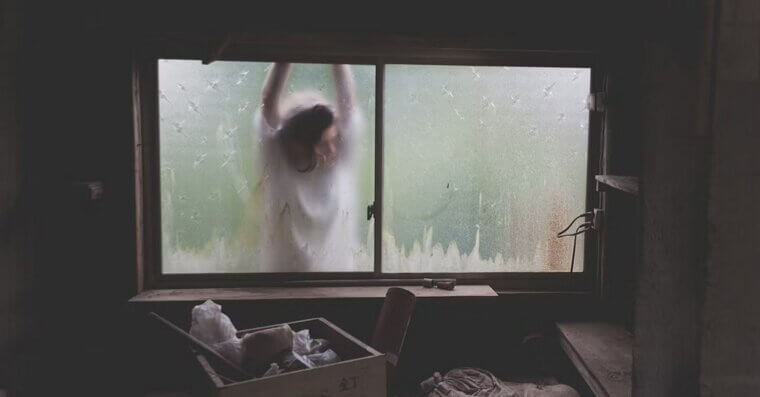 Cleaning the Windows