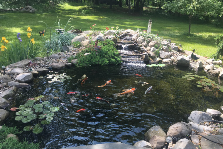 Standing Unfenced Water Features