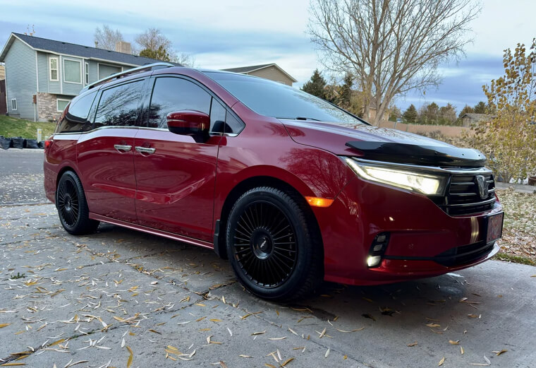 ​Limited Customization