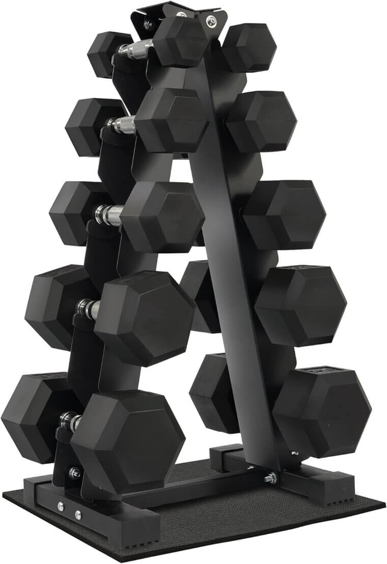 Fitvids Dumbbell Set with Rack for Home Gym 
