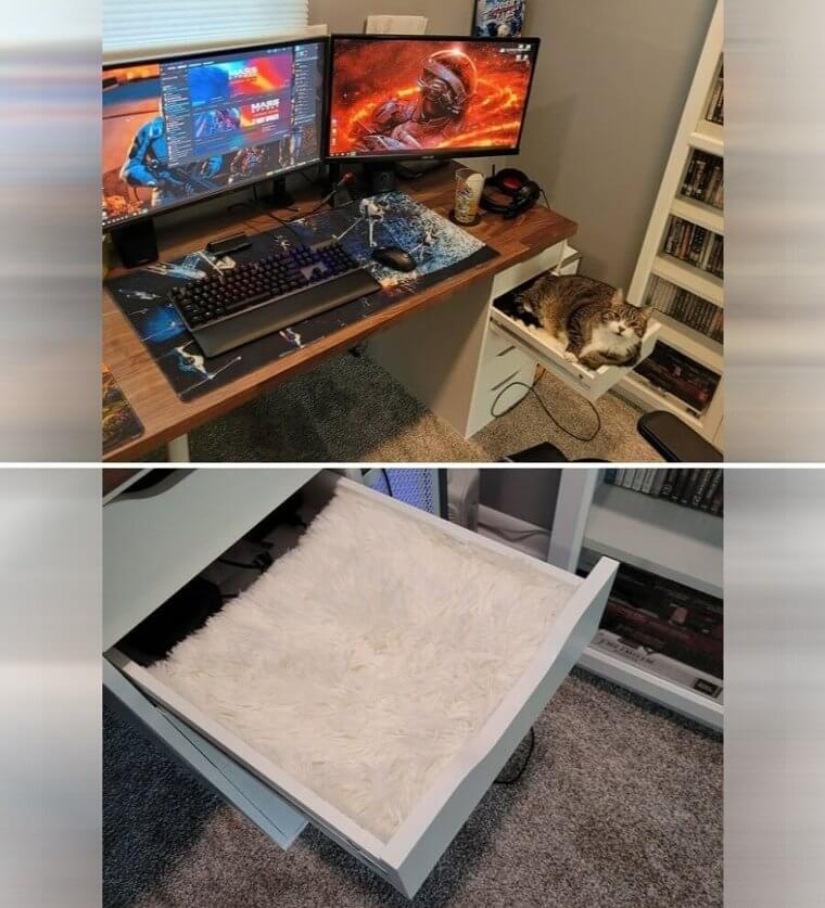 Slot Some IKEA Carpet Into Your Desk for Your Cat
