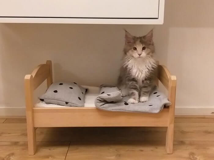 Turn a DUTKIG Doll Bed Into the Cutest Pet Bed Around