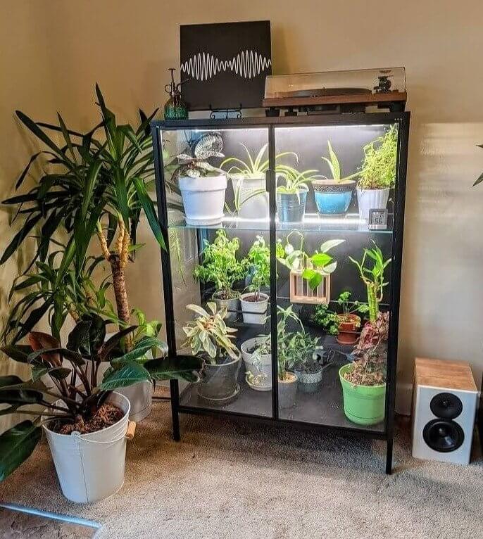 Turn the RUDSTA Cabinet Into a Gorgeous Indoor Greenhouse