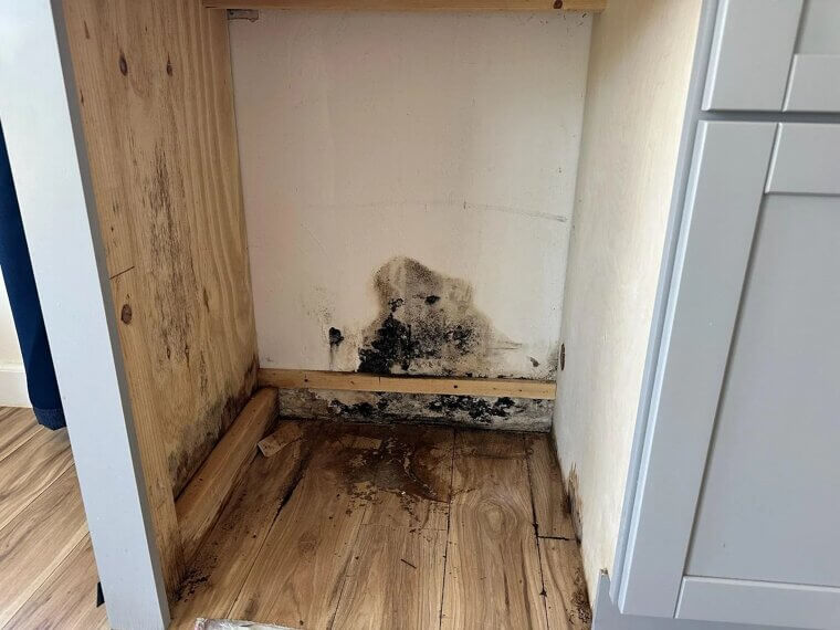 Water Stains Under Kitchen Appliances