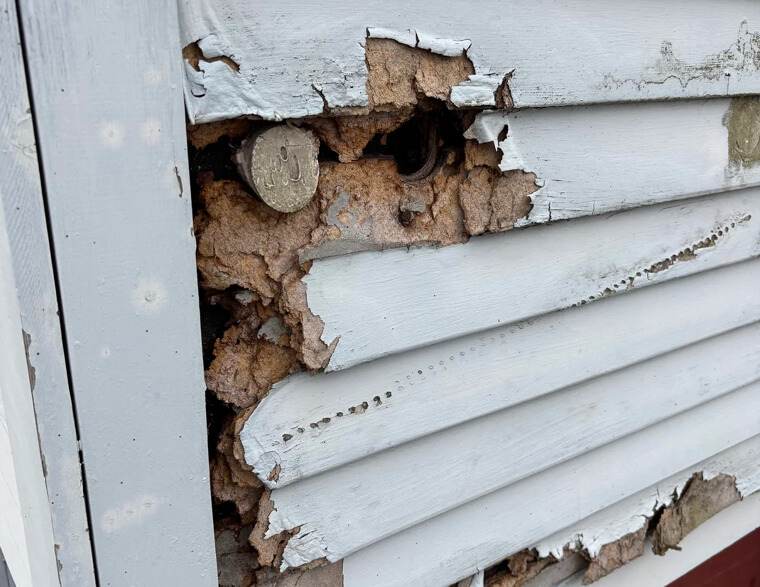 Peeling Paint / Wood Rot on Exterior Trim