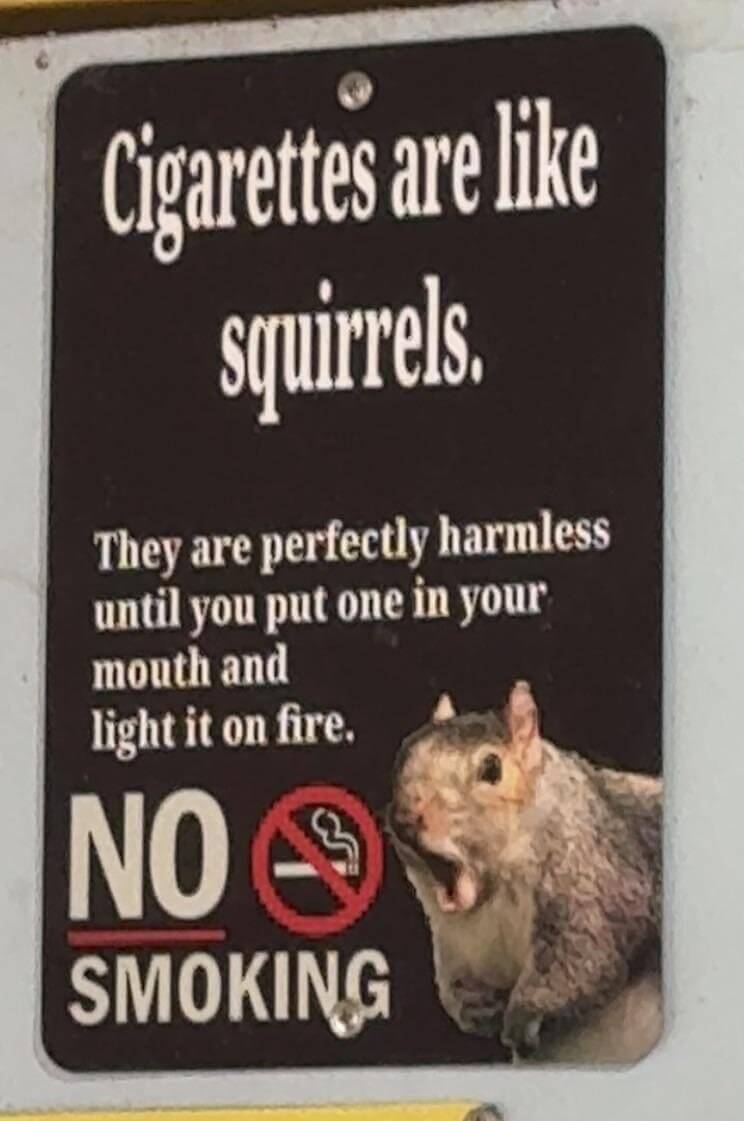 Even the Squirrel Is Against Smoking