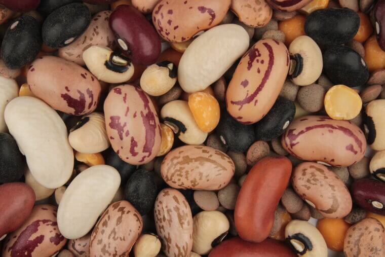 Beans (Kidney, Black, Navy)