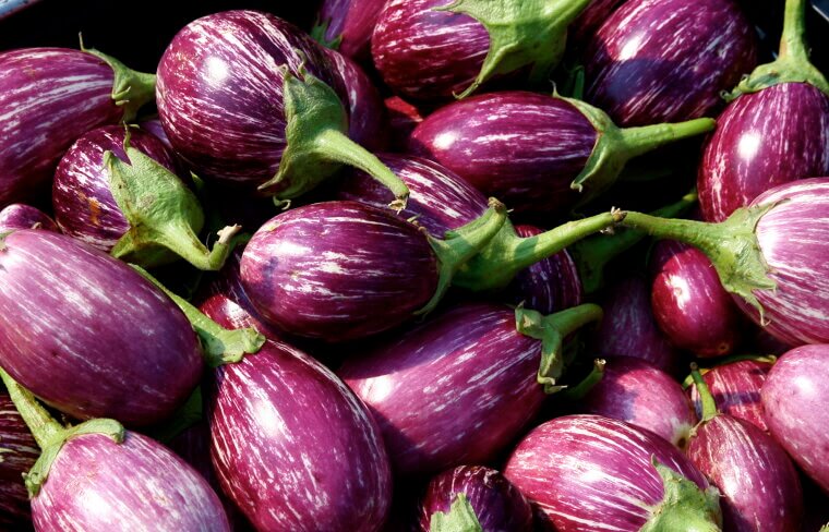 Eggplant