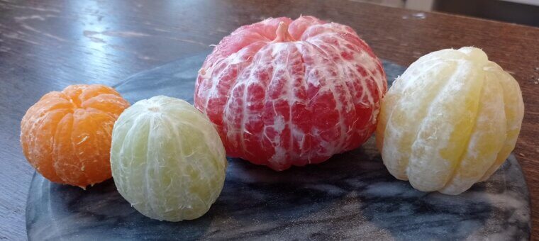 Citrus Fruits