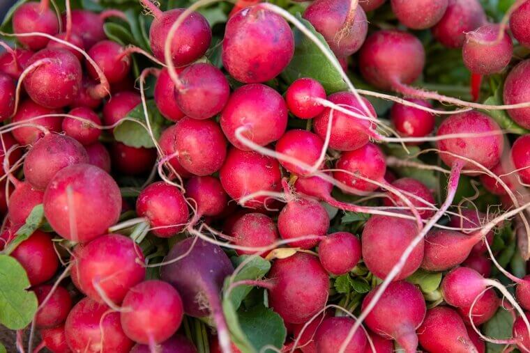Radishes